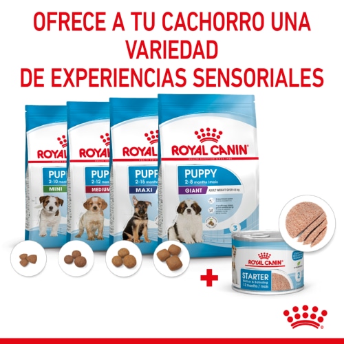 Royal Canin Starter Mommy Baby mousse latas para perros , , large image number null